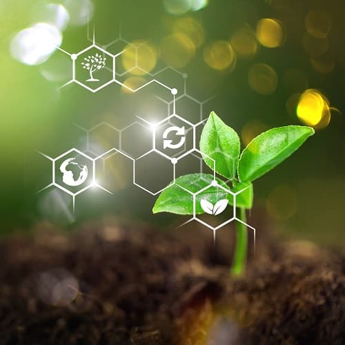 Plants background with biochemistry structure Plants background with biochemistry structure
