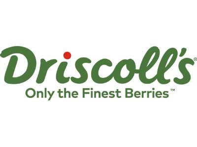 Driscoll's logo Driscoll's logo