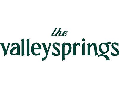 The Valley Springs logo The Valley Springs logo
