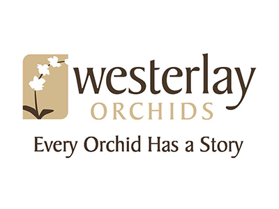 Westerlay logo Westerlay logo