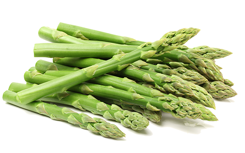 Fresh green asparagus on white background. Fresh green asparagus on white background.