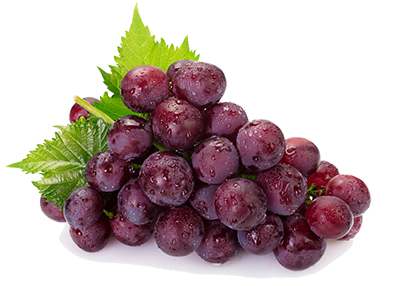 A bunch of red grapes A bunch of red grapes