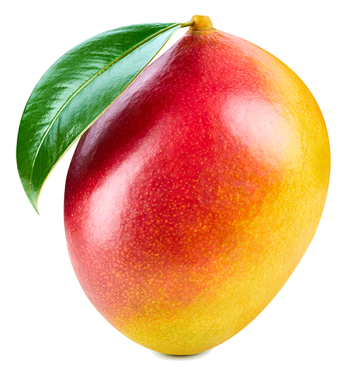 Mango isolated on white background. Mango isolated on white background.