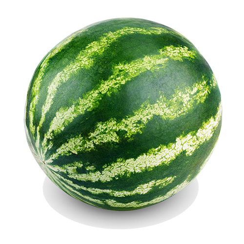 Ripe single full watermelon isolated on white background. Ripe single full watermelon isolated on white background.