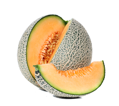 Sliced cantaloupe Sliced cantaloupe