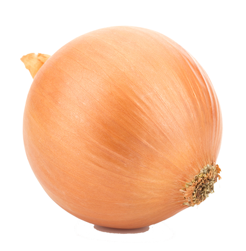 whole onion whole onion
